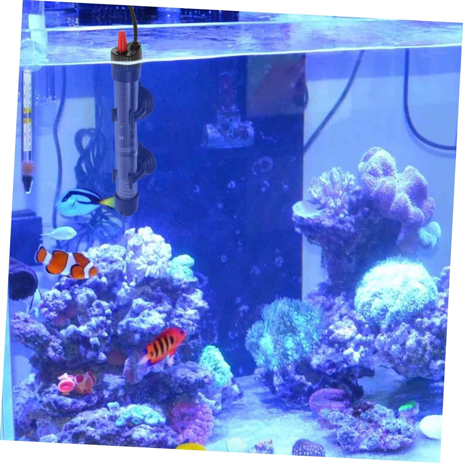 praktický ohrievač do akvária s termostatom